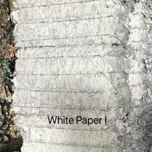 White Paper I