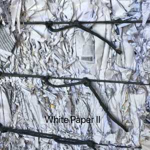 White Paper II