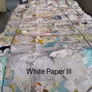 White Paper III