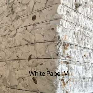 White Paper VI